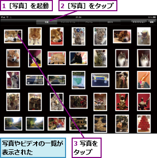 1［写真］を起動,2［写真］をタップ,3 写真をタップ  ,写真やビデオの一覧が表示された    