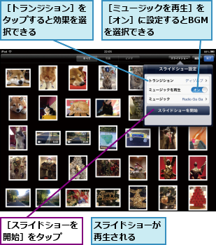 スライドショーが再生される  ,［スライドショーを開始］をタップ  ,［トランジション］をタップすると効果を選択できる  ,［ミュージックを再生］を［オン］に設定するとBGMを選択できる