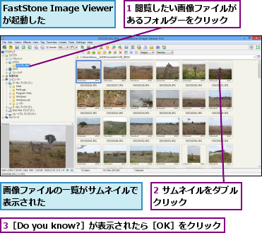 1 閲覧したい画像ファイルがあるフォルダーをクリック  ,2 サムネイルをダブルクリック       ,3［Do you know?］が表示されたら［OK］をクリック,FastStone Image Viewerが起動した,画像ファイルの一覧がサムネイルで表示された             