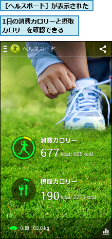 1日の消費カロリーと摂取カロリーを確認できる  ,［ヘルスボード］が表示された