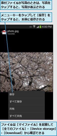 ファイルは［マイファイル］を起動して    ［全てのファイル］-［Device storage］ -［Download］から確認できる,メニューキーをタップして［保存］をタップすると、本体に保存される  ,添付ファイルが写真のときは、写真をタップすると、写真が表示される  