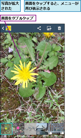 写真が拡大された  ,画面をタップすると、メニューが再び表示される        ,画面をダブルタップ