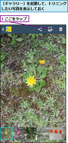 1 ここをタップ,［ギャラリー］を起動して、トリミングしたい写真を表示しておく      