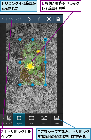 1 枠線と枠内をドラッグして範囲を調整    ,2［トリミング］をタップ      ,ここをタップすると、トリミングする範囲の縦横比を固定できる,トリミングする範囲が表示された    