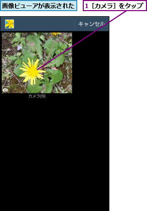 1［カメラ］をタップ,画像ビューアが表示された