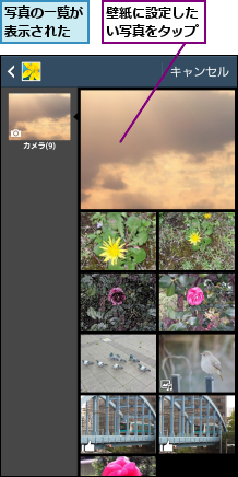 写真の一覧が表示された,壁紙に設定したい写真をタップ