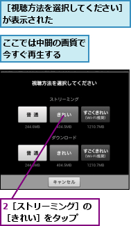 2［ストリーミング］の［きれい］をタップ  ,ここでは中間の画質で今すぐ再生する  ,［視聴方法を選択してください］が表示された          