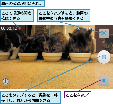 ここで撮影時間を確認できる  ,ここをタップ,ここをタップすると、動画の撮影中に写真を撮影できる,ここをタップすると、撮影を一時停止し、あとから再開できる  ,動画の撮影が開始された