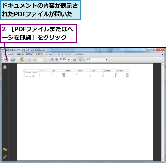 2 ［PDFファイルまたはページを印刷］をクリック,ドキュメントの内容が表示されたPDFファイルが開いた