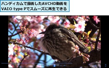 ハンディカムで録画したAVCHD動画を¥VAIO type Pでスムーズに再生できる