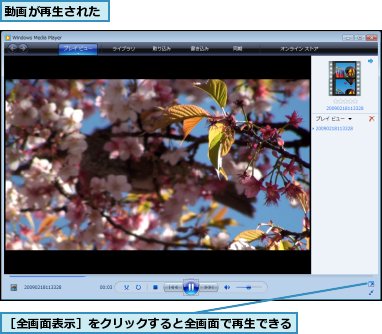 動画が再生された,［全画面表示］をクリックすると全画面で再生できる