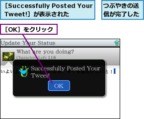 つぶやきの送信が完了した,［OK］をクリック,［Successfully Posted Your Tweet!］が表示された