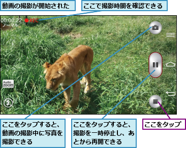 ここで撮影時間を確認できる,ここをタップ,ここをタップすると、動画の撮影中に写真を撮影できる,ここをタップすると、撮影を一時停止し、あとから再開できる,動画の撮影が開始された