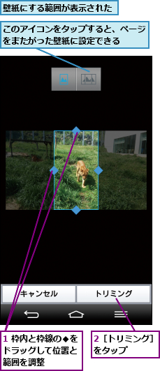1 枠内と枠線の◆をドラッグして位置と 範囲を調整,2［トリミング］をタップ    ,このアイコンをタップすると、ページをまたがった壁紙に設定できる  ,壁紙にする範囲が表示された