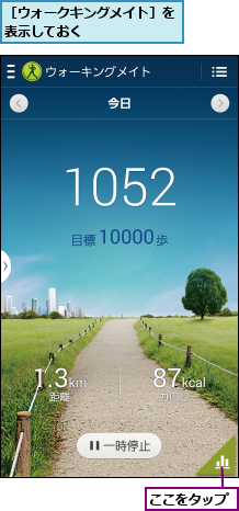 ここをタップ,［ウォークキングメイト］を表示しておく       