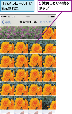 1 添付したい写真をタップ      ,［カメラロール］が表示された    