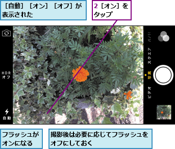 2［オン］をタップ  ,フラッシュがオンになる,撮影後は必要に応じてフラッシュをオフにしておく        ,［自動］［オン］［オフ］が表示された        